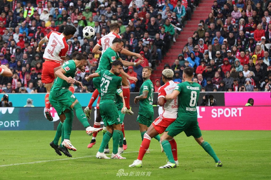 官宣前瞻 官宣前瞻